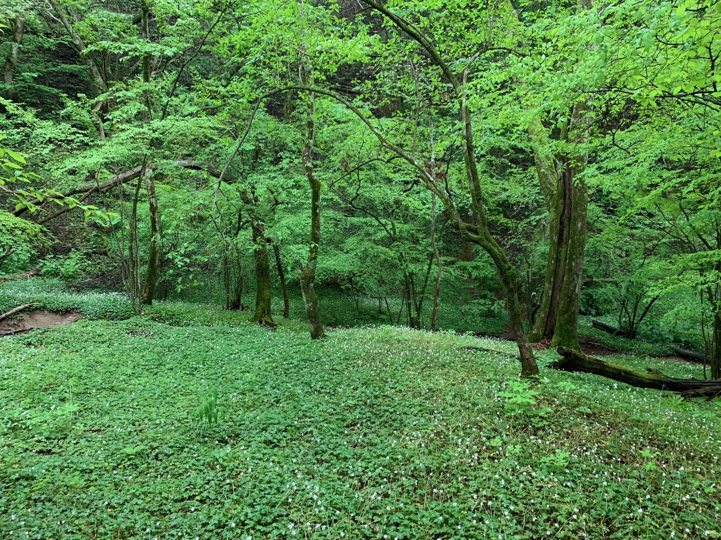 森井塗装風景4